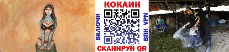 Кокаин VHQ продажа наркотиков Называевск