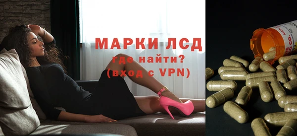 бошки Бородино