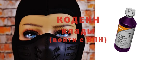бошки Бородино