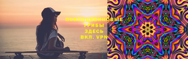 бошки Бородино