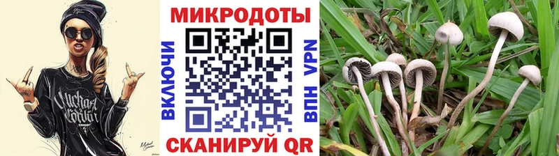kraken как зайти  Называевск  Галлюциногенные грибы прущие грибы  хочу  